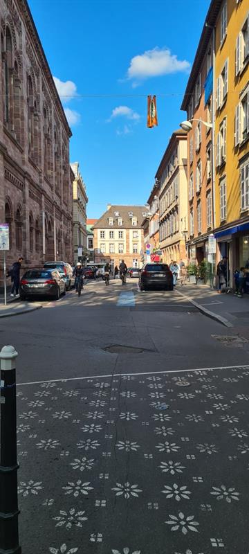 Z WIZYTĄ W PARLAMENCIE EUROPEJSKIM W STRASBURGU